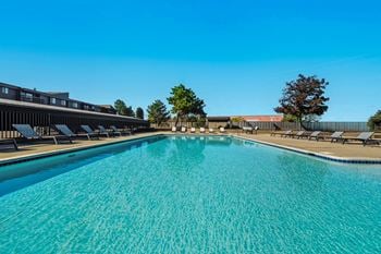 Clean blue swimming pool